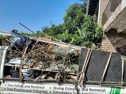 Types of Items We Remove From Your Property in Squirrel Mountain Valley, CA